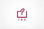 IBSTEC company logo