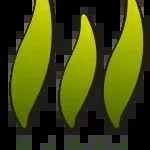 Nabia Creates company icon